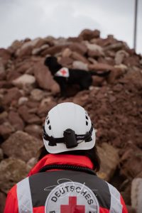 Ein Rettungshund mit einem Rotkreuz-Abzeichen steht auf einem Steinhaufen, während eine Person im Rettungsdienstanzug und Helm auf ihn blickt.