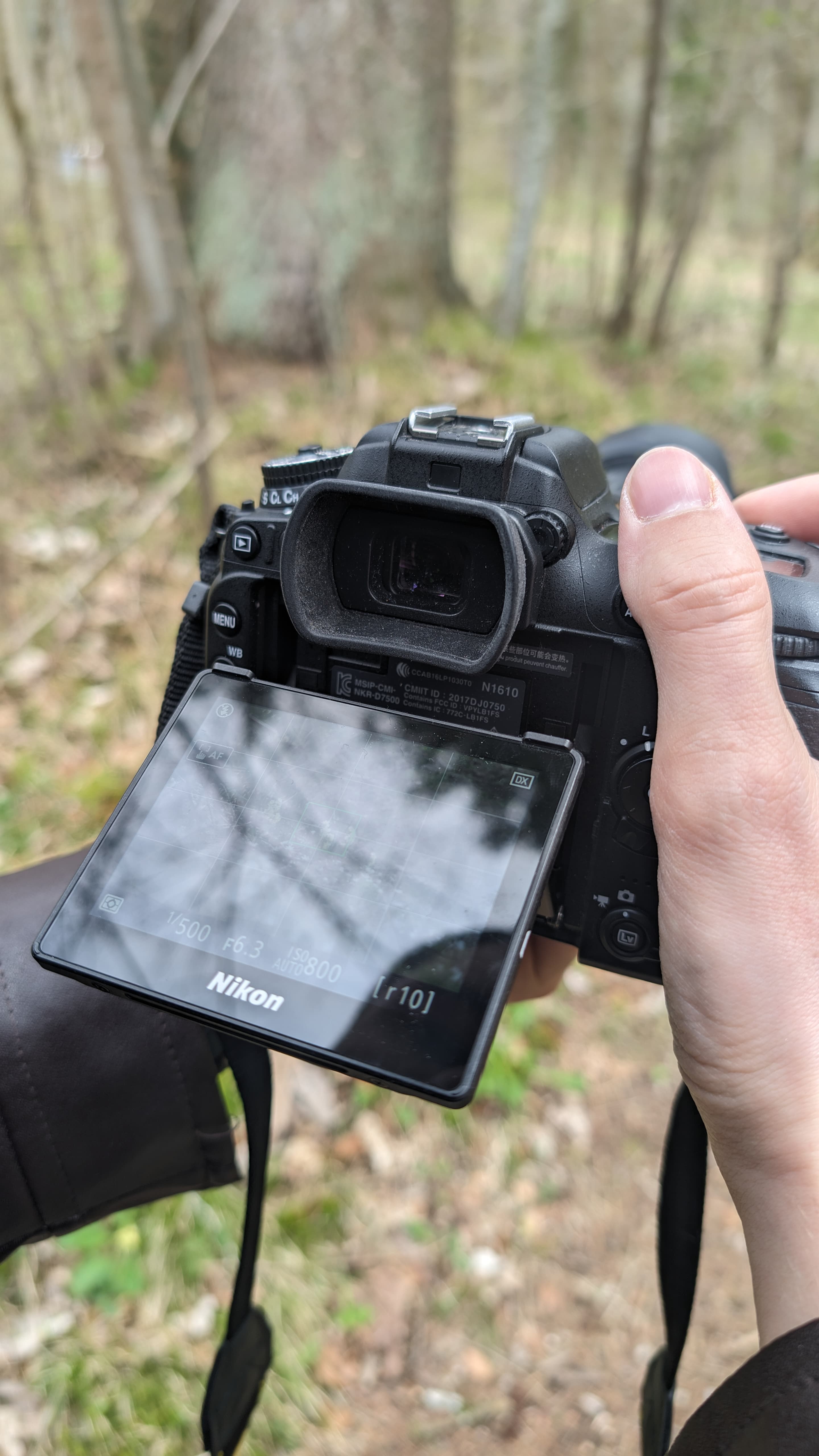 Eine Person hält eine Nikon-Kamera mit ausgeklapptem Display im Wald.